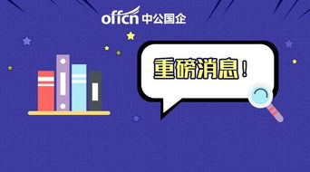 月薪3000-6000元加績(jī)效，無筆試計(jì)算機(jī)軟硬件開發(fā)崗位解析